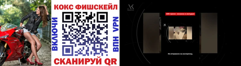 COCAIN Fish Scale  где купить наркотик  гидра маркетплейс  Никольск 