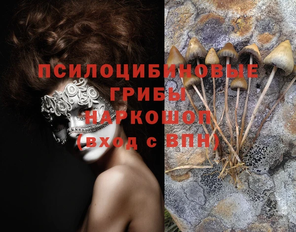 ECSTASY Абдулино