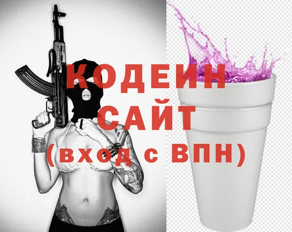 шишки Абаза