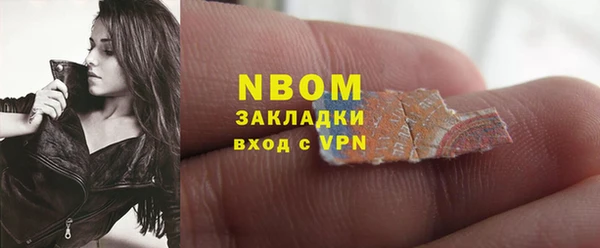 шишки Абаза