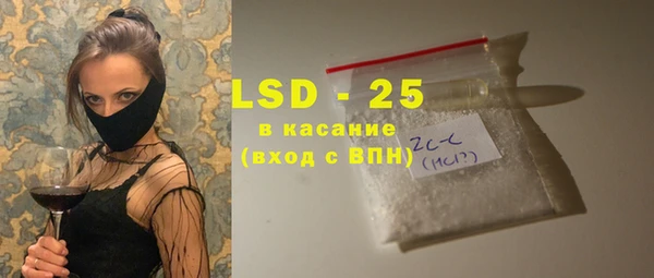 шишки Абаза