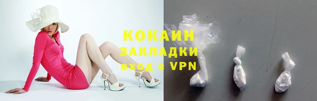 шишки Абаза