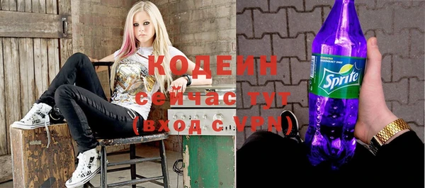 шишки Абаза