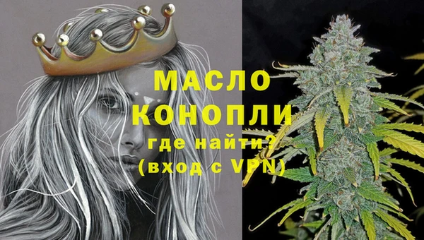шишки Абаза